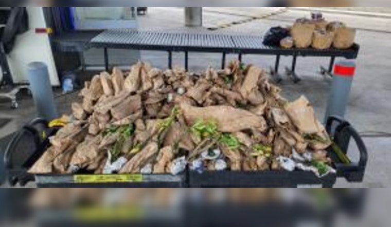 CBP Seizes Nearly 300 Hidden Plants at Juarez-Lincoln Bridge to Protect U.S. Agriculture
