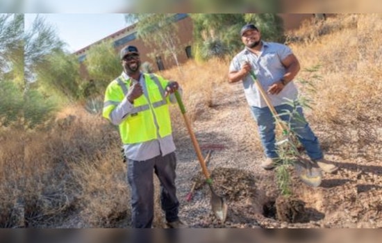 Chandler Secures $767K Federal Grant for Urban Forestry, Tackling Arizona Heat with Tree Plantings