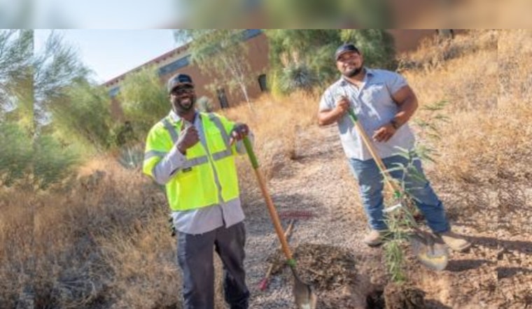 Chandler Secures $767K Federal Grant for Urban Forestry, Tackling Arizona Heat with Tree Plantings