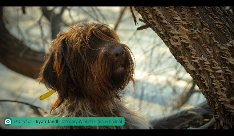 Chanhassen Invites Locals to Capture City's Spirit in Heart of Chanhassen Photo Contest