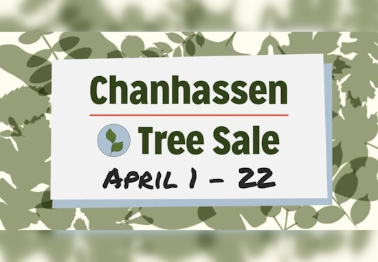 Chanhassen to Host First Residential Tree Sale for Community Greening in May