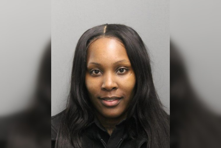 Chicago Police Charge 33-Year-Old Courtney McElrath-Bey with Felony Robbery