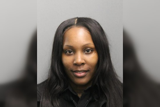 Chicago Police Charge 33-Year-Old Courtney McElrath-Bey with Felony Robbery