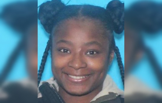 Chicago Police Issue Urgent Missing Person Alert for 28-Year-Old Alexis Tigues