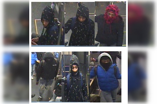 Chicago Police Seek Public's Help to Identify Suspects in Green Line Robbery