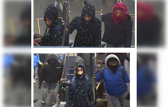 Chicago Police Seek Public's Help to Identify Suspects in Green Line Robbery