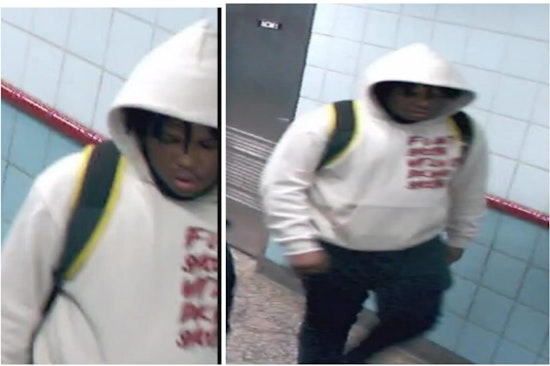 Chicago Police Seek Suspect in Daytime CTA Red Line Robbery