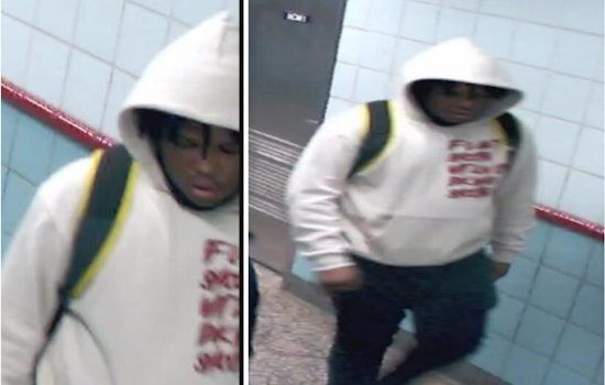 Chicago Police Seek Suspect in Daytime CTA Red Line Robbery