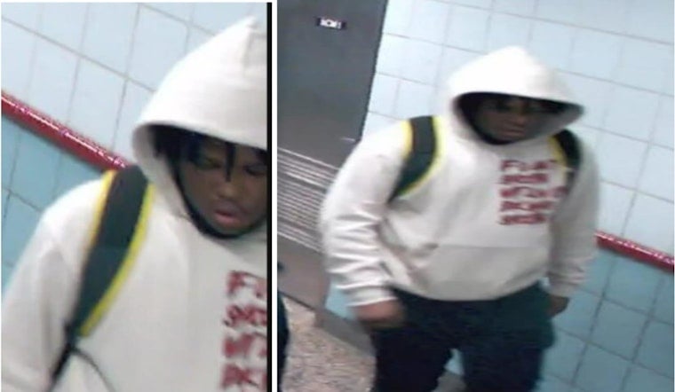 Chicago Police Seek Suspect in Daytime CTA Red Line Robbery