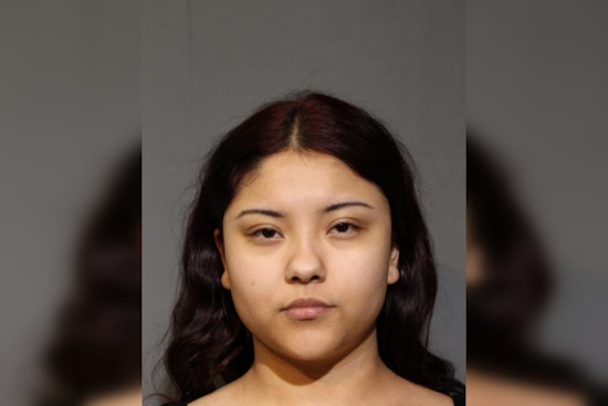 Chicago Teen Charged with Vehicular Hijacking and Cannabis Possession