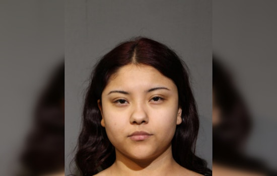 Chicago Teen Charged with Vehicular Hijacking and Cannabis Possession