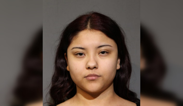 Chicago Teen Charged with Vehicular Hijacking and Cannabis Possession