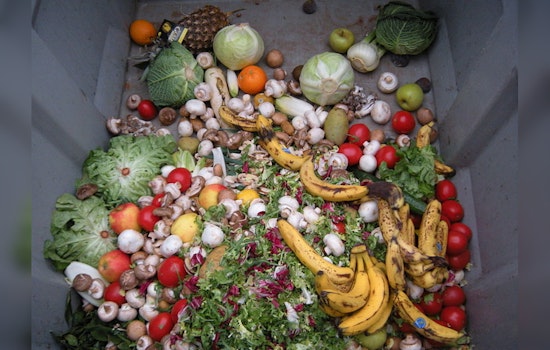 Clark County Launches Food Waste Prevention Week to Cook Up Change and Slash Annual 1.1 Million Tons of Waste