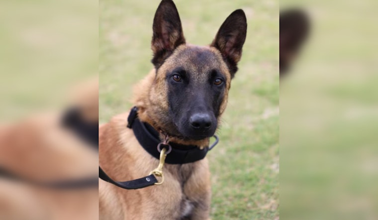 Cobb County Police Enhance K-9 Protection with New Safety Measures After Tragic Heat-Related Death