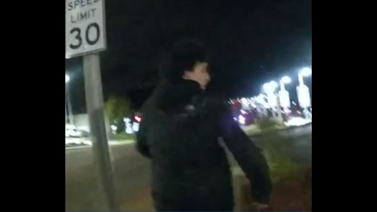Colma Police Nab San Francisco Man for Petty Theft, Accomplice Still at Large