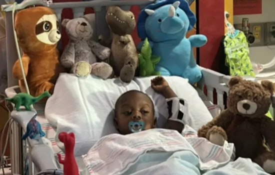 Community Rallies Around Two-Year-Old Shooting Survivor in Houston’s Fourth Ward
