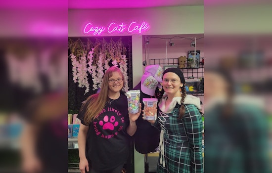 Cozy Cats Cafe Opens in Sanford Offering Coffee, Crafts, and Cat Companionship