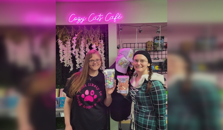 Cozy Cats Cafe Opens in Sanford Offering Coffee, Crafts, and Cat Companionship
