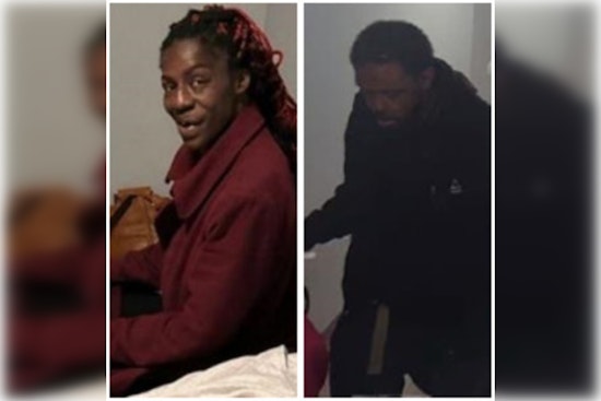 CPD Seeks Public's Aid in Tracing Missing Woman Adriaenne Johnson from Chicago's South Lowe Avenue