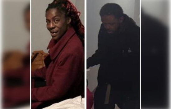 CPD Seeks Public's Aid in Tracing Missing Woman Adriaenne Johnson from Chicago's South Lowe Avenue