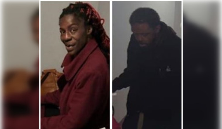 CPD Seeks Public's Aid in Tracing Missing Woman Adriaenne Johnson from Chicago's South Lowe Avenue