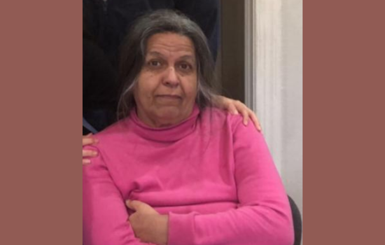 Dallas Police Escalate Search for Missing Woman, Seek Public's Help in Locating Sedigheh Kohanloo