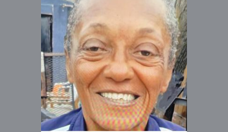 Dallas Police Seek Community Help in Search for Missing 66-Year-Old Charlene Stone