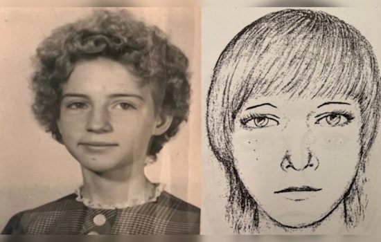 Decades-Old Connecticut Cold Case Cracked, Kentucky Woman's Identity Revealed by DNA