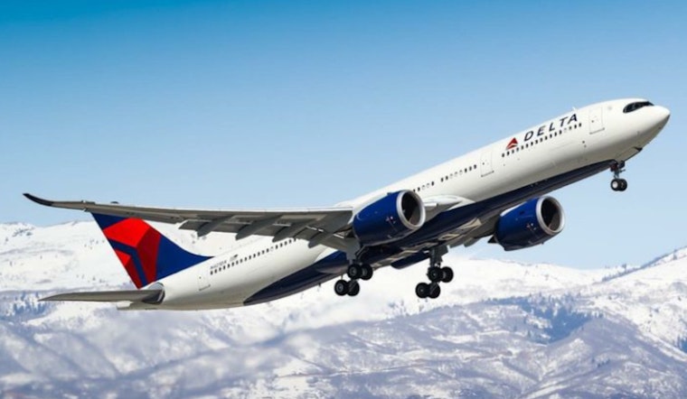 Delta airlines baggage international flight sales