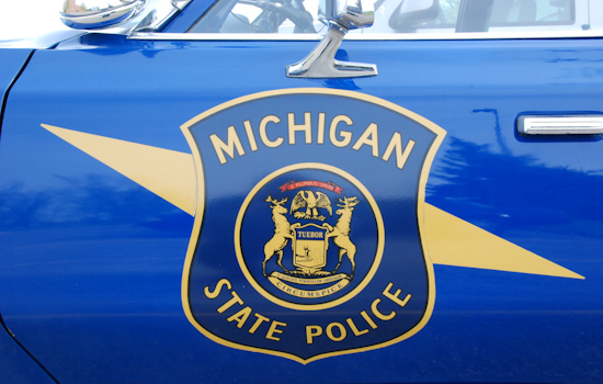 Detroit Woman Jumps from Rideshare on I-96, Marijuana Induced Panic Resolved with No Kidnapping Found