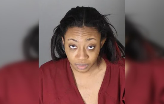 Detroit Woman Sentenced to Probation After Guilty Plea in Assault of Child at Troy's Somerset Mall