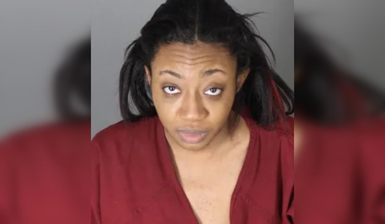 Detroit Woman Sentenced to Probation After Guilty Plea in Assault of Child at Troy's Somerset Mall
