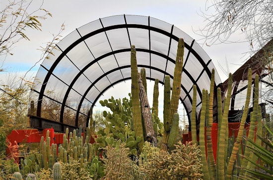 Discover Arizona's Spring Break Adventures Away from the Beach