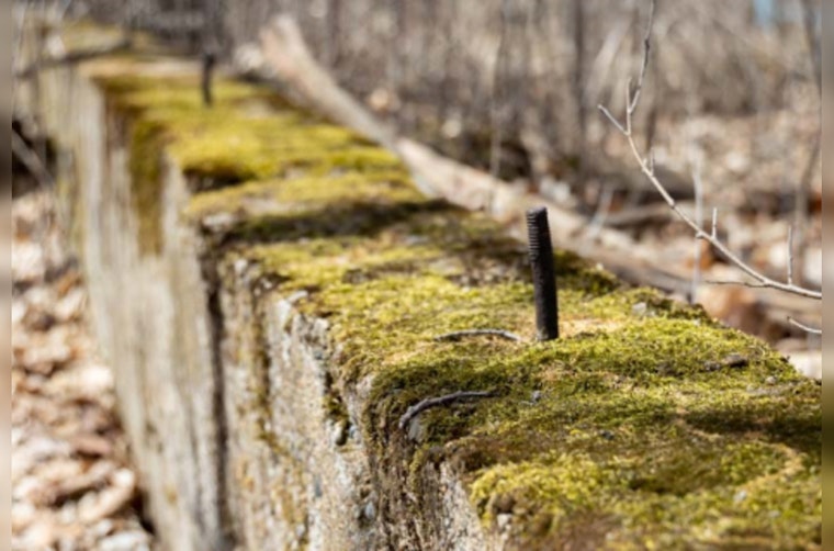Discover Echoes of the Past with Guided Historical Hike at Spring Lake Regional Park