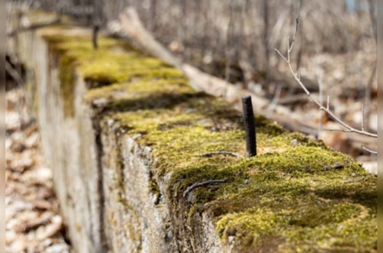 Discover Echoes of the Past with Guided Historical Hike at Spring Lake Regional Park