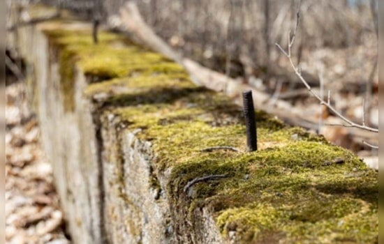 Discover Echoes of the Past with Guided Historical Hike at Spring Lake Regional Park