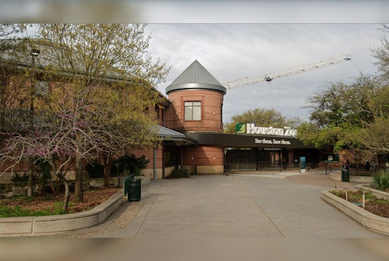 Dispute Over Parking Spot at Houston Zoo Leads to Shooting, Mother Hospitalized and Seeking Justice