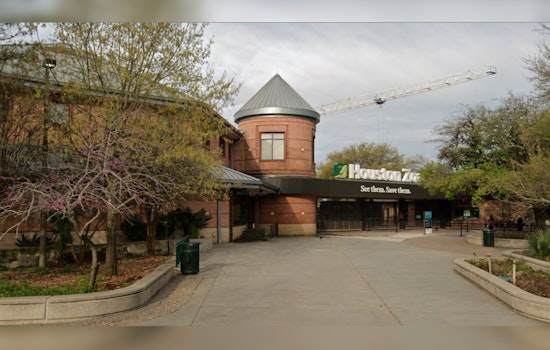 Dispute Over Parking Spot at Houston Zoo Leads to Shooting, Mother Hospitalized and Seeking Justice