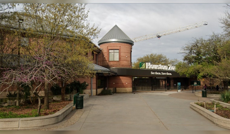 Dispute Over Parking Spot at Houston Zoo Leads to Shooting, Mother Hospitalized and Seeking Justice