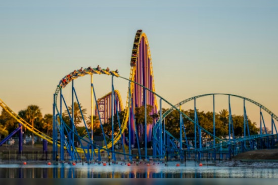 Dive Into Spring Break in San Antonio with Free Swimming and SeaWorld & Aquatica Reopening