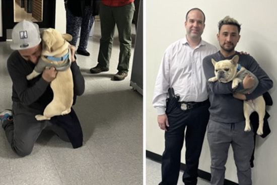 Dognapped in D.C., French Bulldog Reunited with Owner as Police Probe Continues for Car Thief Suspect