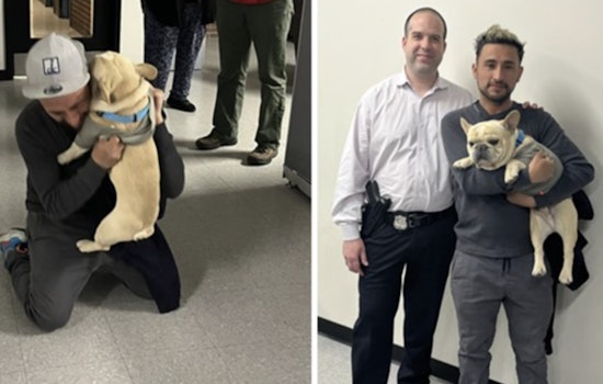 Dognapped in D.C., French Bulldog Reunited with Owner as Police Probe Continues for Car Thief Suspect