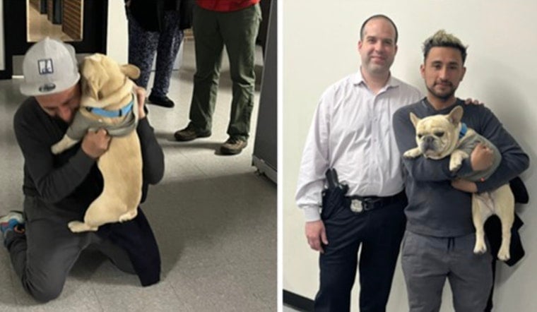 Dognapped in D.C., French Bulldog Reunited with Owner as Police Probe Continues for Car Thief Suspect