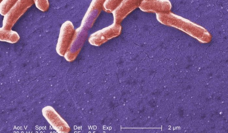 E. coli Outbreak in Seattle Linked to Guacamole from West Seattle PCC Community Markets
