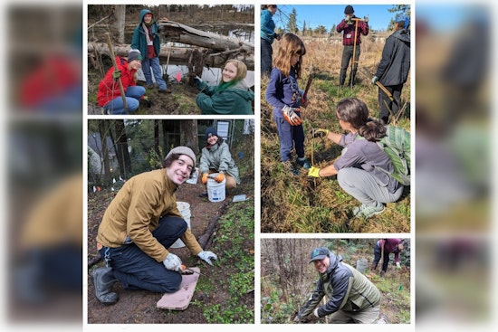 East Multnomah County Volunteers Brave Winter for Watershed Conservation