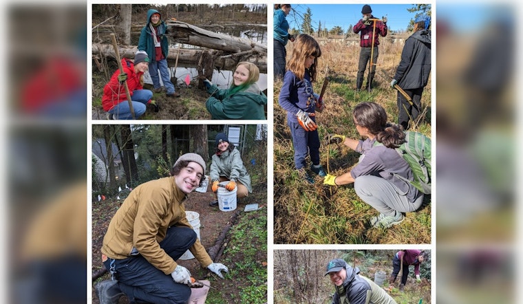 East Multnomah County Volunteers Brave Winter for Watershed Conservation