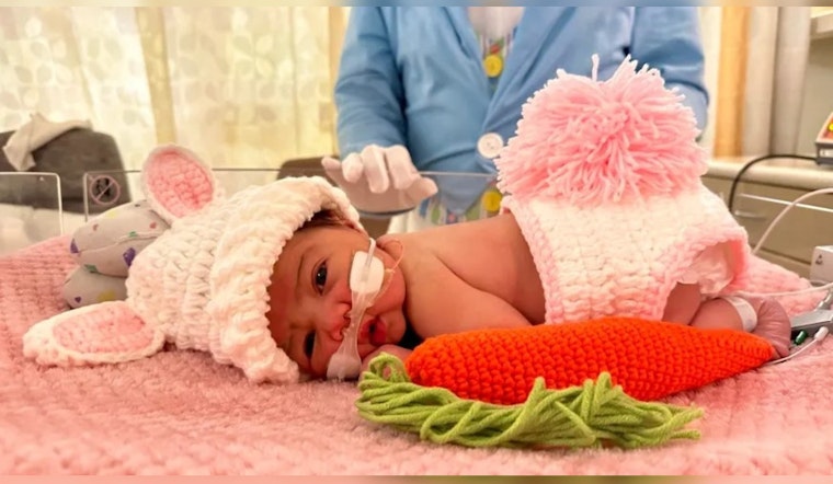 Easter Bunny Brings Springtime Cheer to Newborns at St. David's NICU in Round Rock