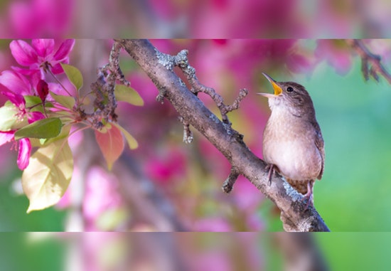 Eden Prairie Boosts Eco-Consciousness with Sustainable Living Workshops and Initiatives