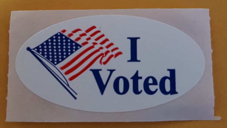 Ellis County, Texas Spearheads Electoral Innovation with Joint Primary Election, Eyes of Nation Watch