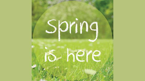 Euless Welcomes Spring with Star-Gazing, Scavenger Hunts, and Family-Friendly Festivities